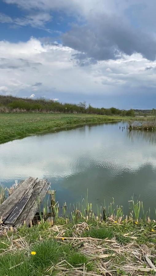 Agroturystyka Nad Jeziorem Silickim Ilinscy Silice Eksteriør billede