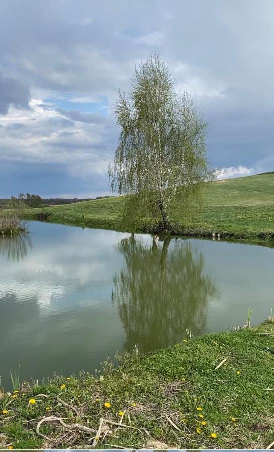 Agroturystyka Nad Jeziorem Silickim Ilinscy Silice Eksteriør billede
