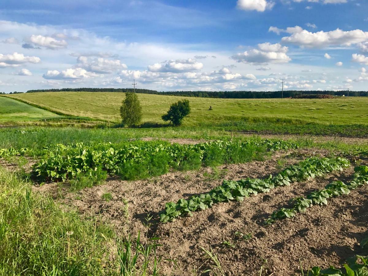 Agroturystyka Nad Jeziorem Silickim Ilinscy Silice Eksteriør billede